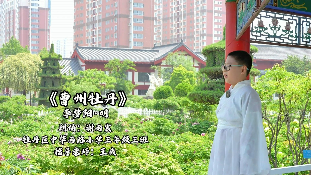 齐鲁晚报菏泽最美朗读者——谢雨宸
