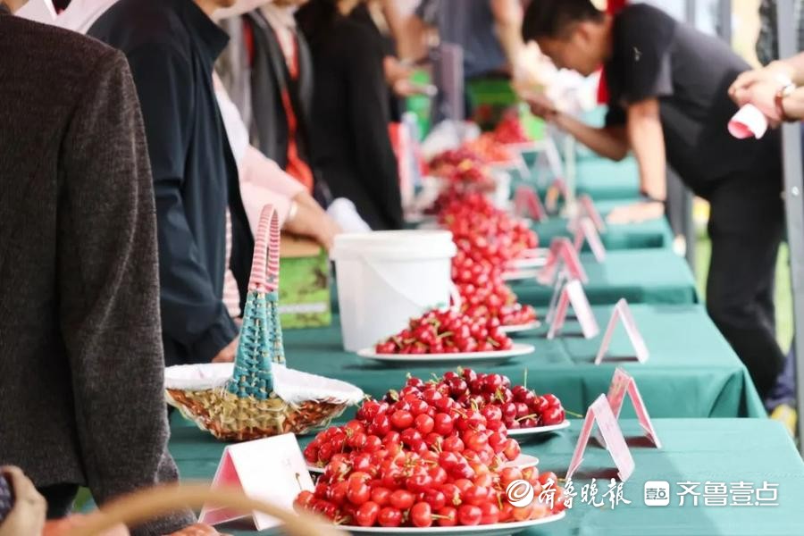 济南市南部山区柳埠街道第18届大樱桃采摘文化旅游节启幕