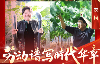 深耕乡土勇担当 ！三位齐鲁“新农人”的强村富民答卷