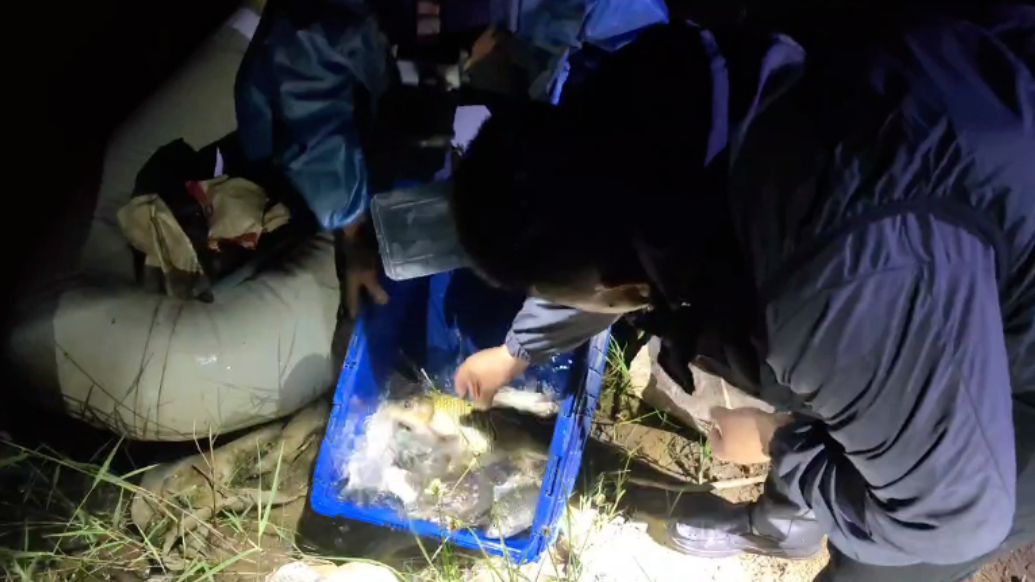 琴视频丨夜查大沽河非法捕鱼，8小时查获三起