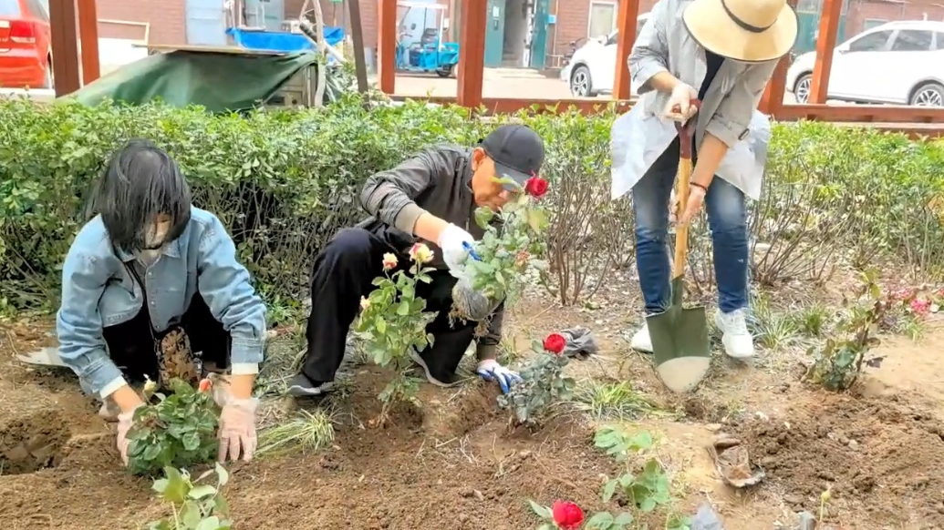 果然视频 | 环翠楼街道：赠花睦邻，共植春光