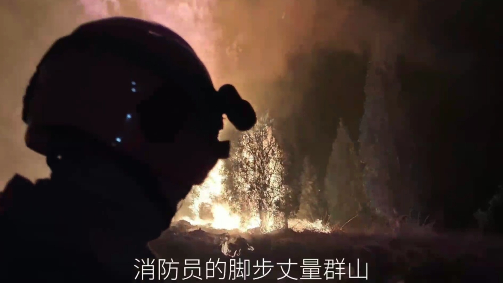 果然视频|你我都是森林守护者