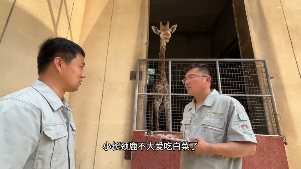 微纪录｜济南动物园王金波：为3000余动物当“主厨”