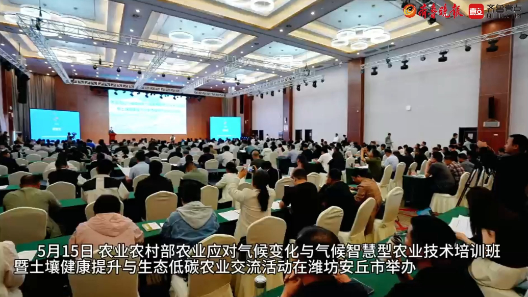 果然视频|潍坊安丘发展生态低碳农业，促进农业绿色转型