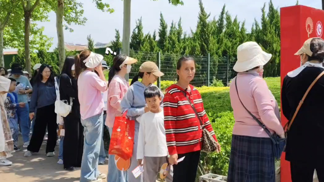 果然视频｜边玩边学了解移风易俗，“文明大闯关”活动寓教于乐