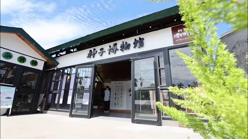 Seed museum promotes rural culture and tourism development in S China's Hainan