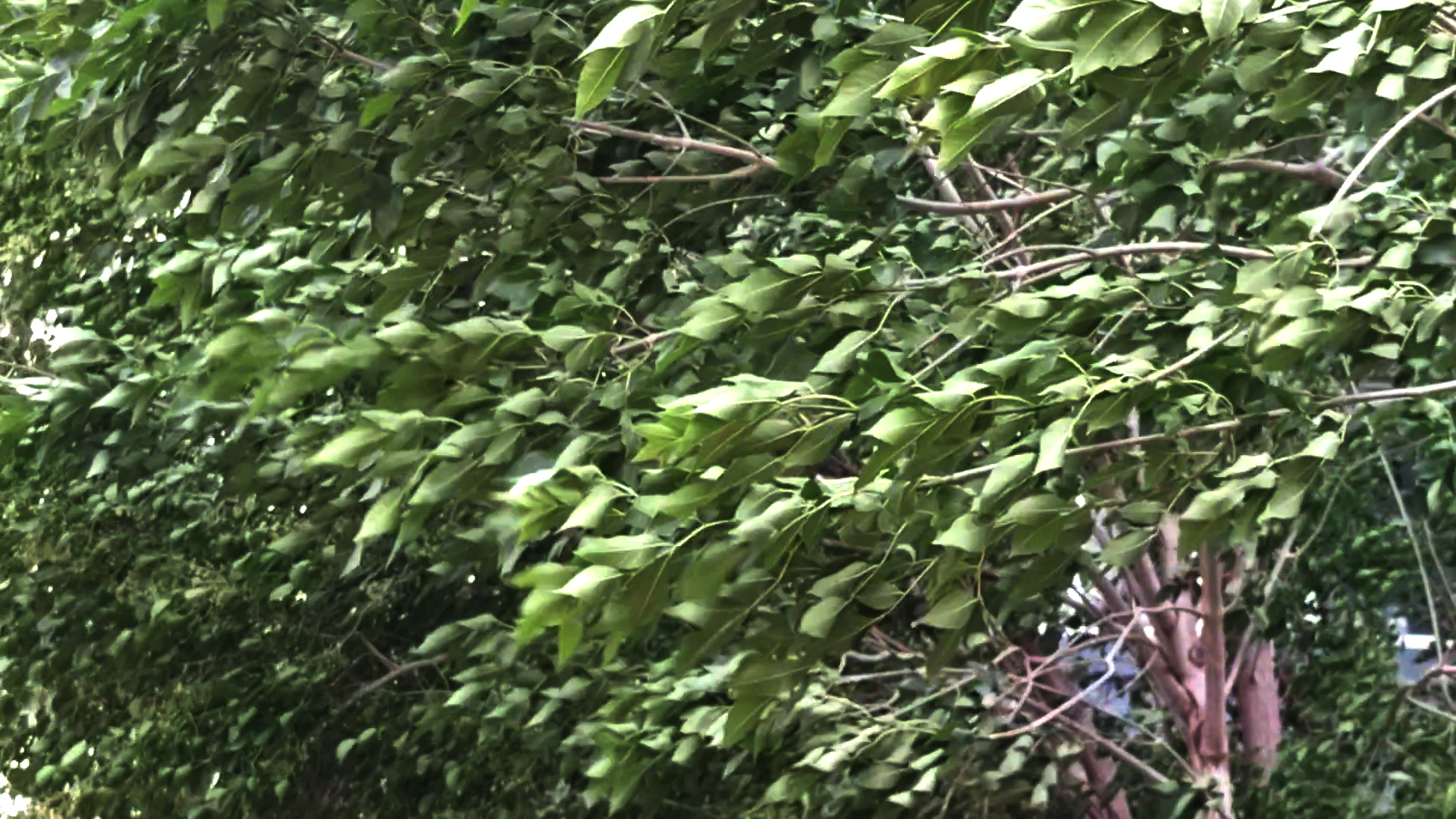 北风起、气温降，济南今日将有雨