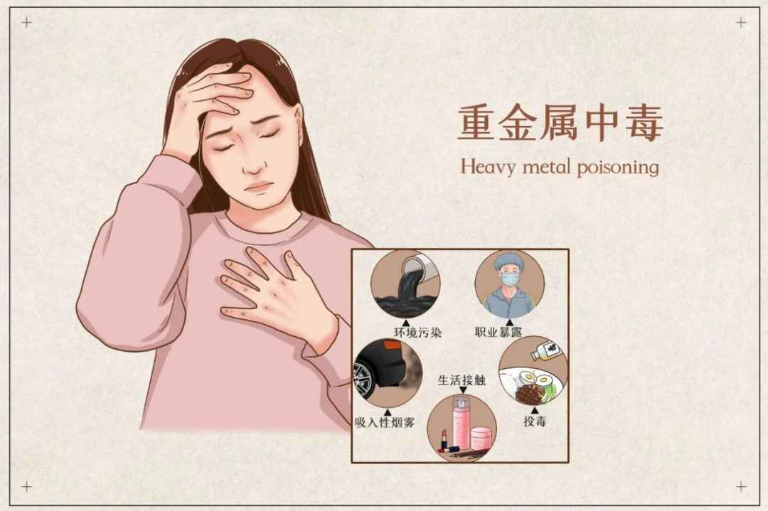 山东省妇幼保健院科普｜警惕重金属威胁，守护母婴健康
