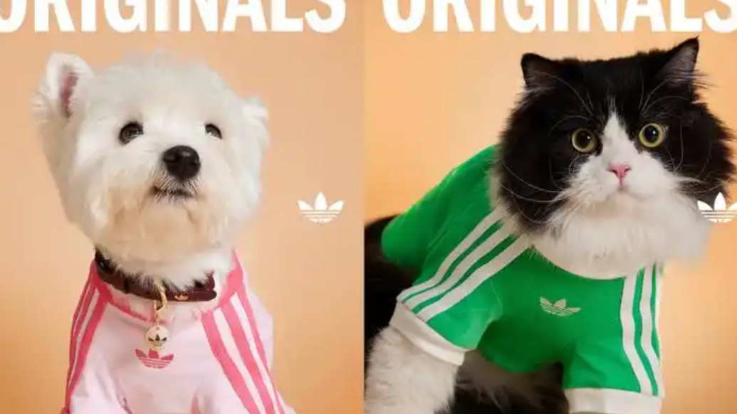 果然财经