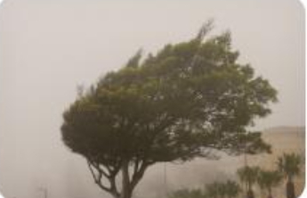 凉快了！阵风7~8级！还有雷雨、阵雨！山东最新天气预报