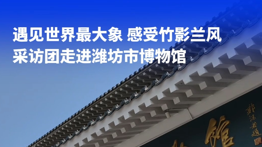 果然视频|走进潍坊市博物馆，遇见世界最大象