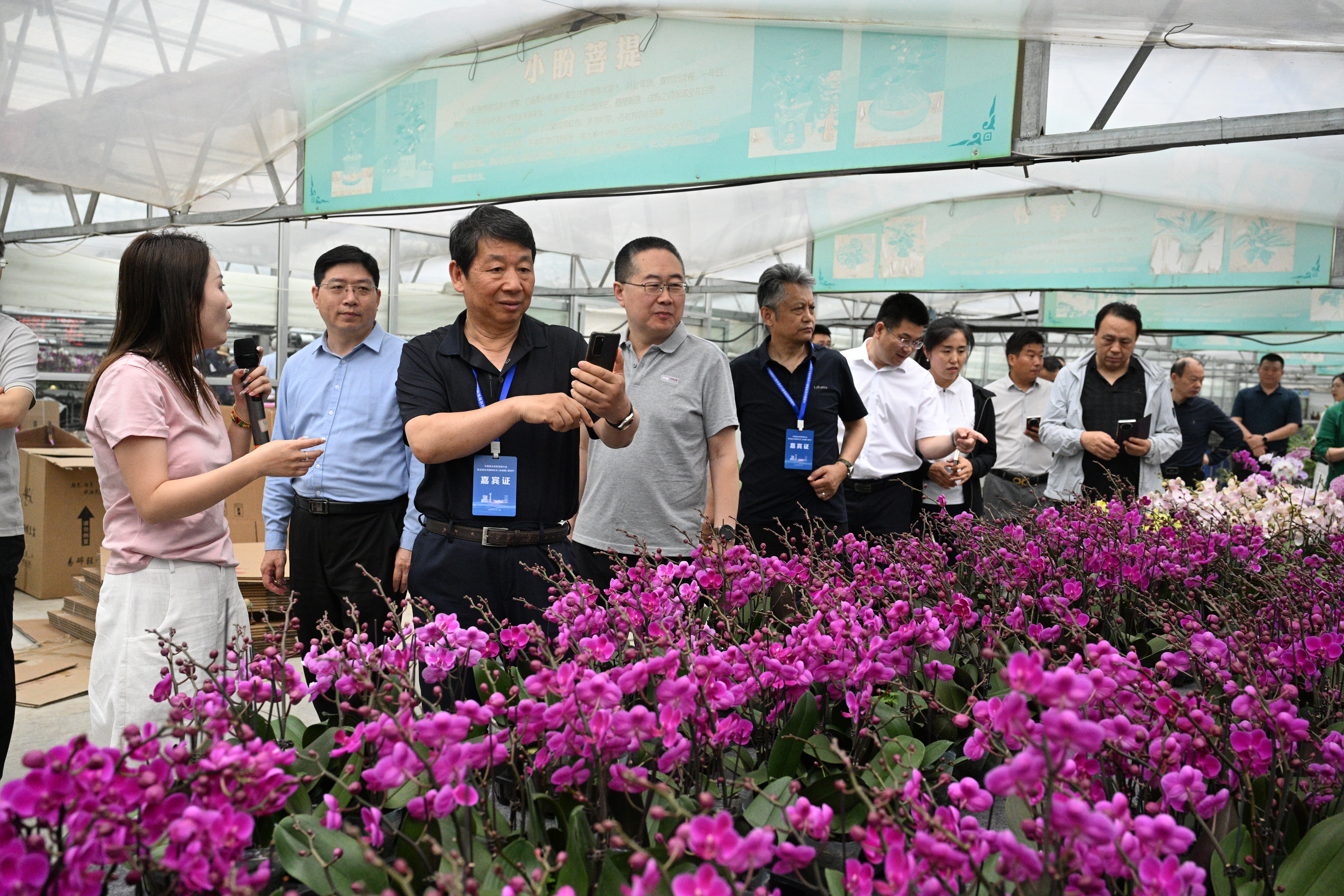 全国百家媒体探访潍坊青州花卉产业，看“一朵小花”做成大产业