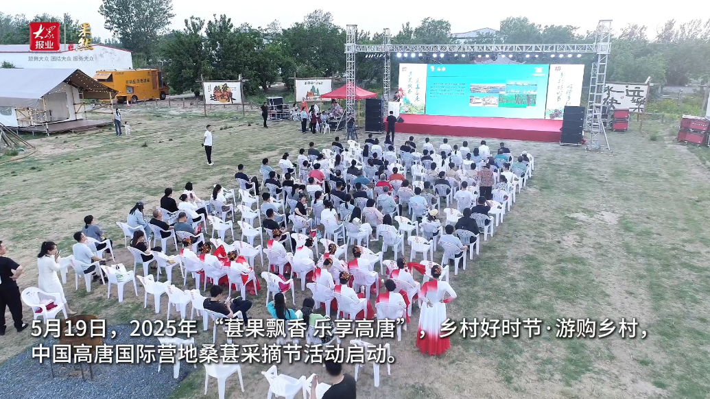 “葚果飘香 乐享高唐”——中国高唐国际营地桑葚采摘节活动启动