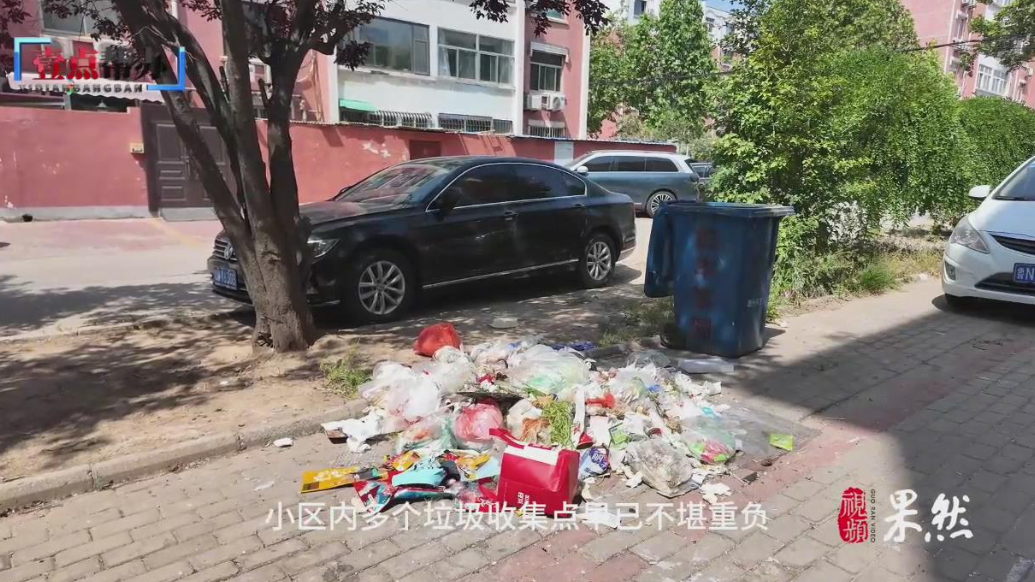 壹点帮办|德州一小区物业更替垃圾无人清！社区：已完成环卫清运