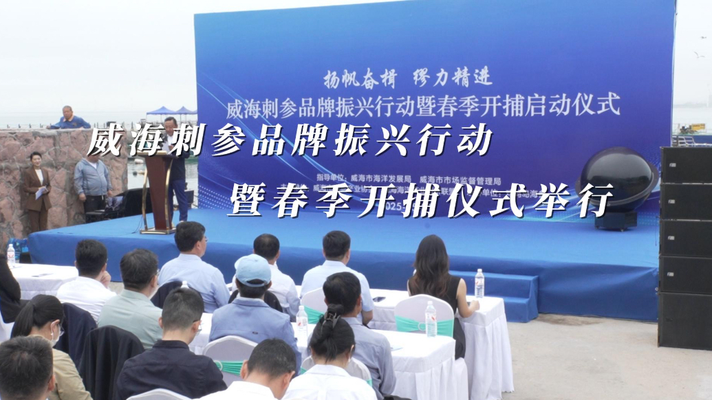 果然视频丨威海刺参品牌振兴行动暨春季开捕仪式举行