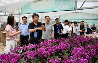 小满时节看潍坊的实业：万物初盈