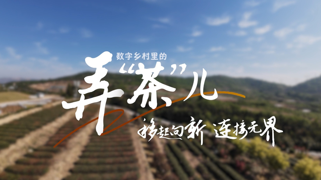 壹视频|中国移动智慧赋能，海边飘来阵阵“科技味”茶香~