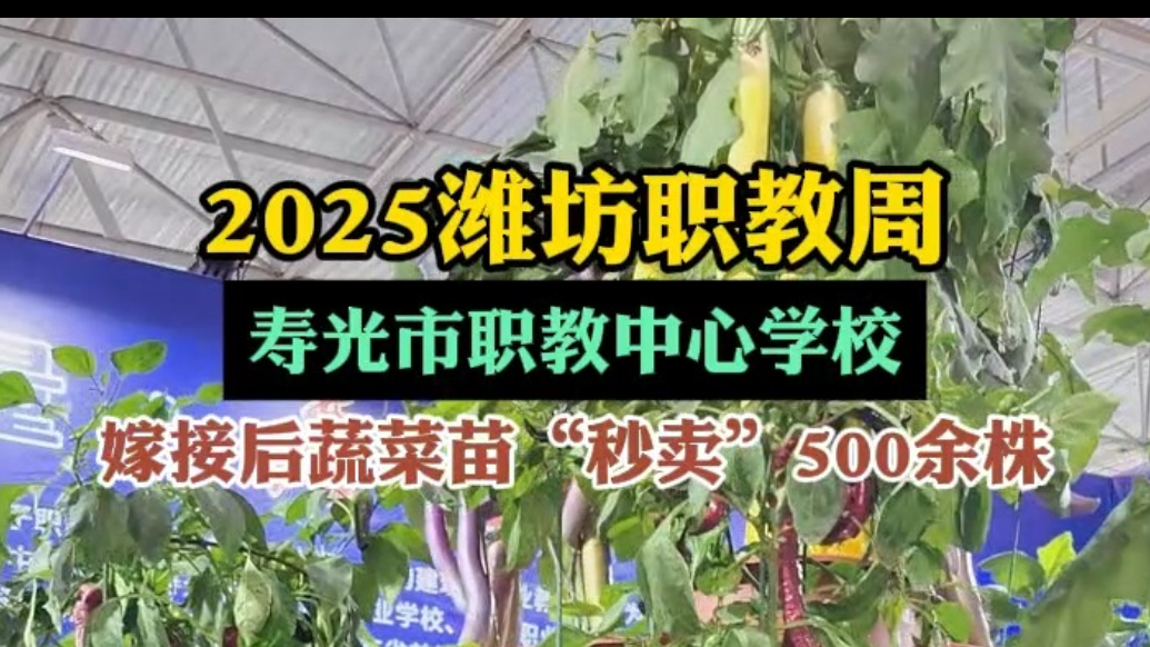 果然视频|寿光市职教中心学校：嫁接后蔬菜苗“秒卖”500余株