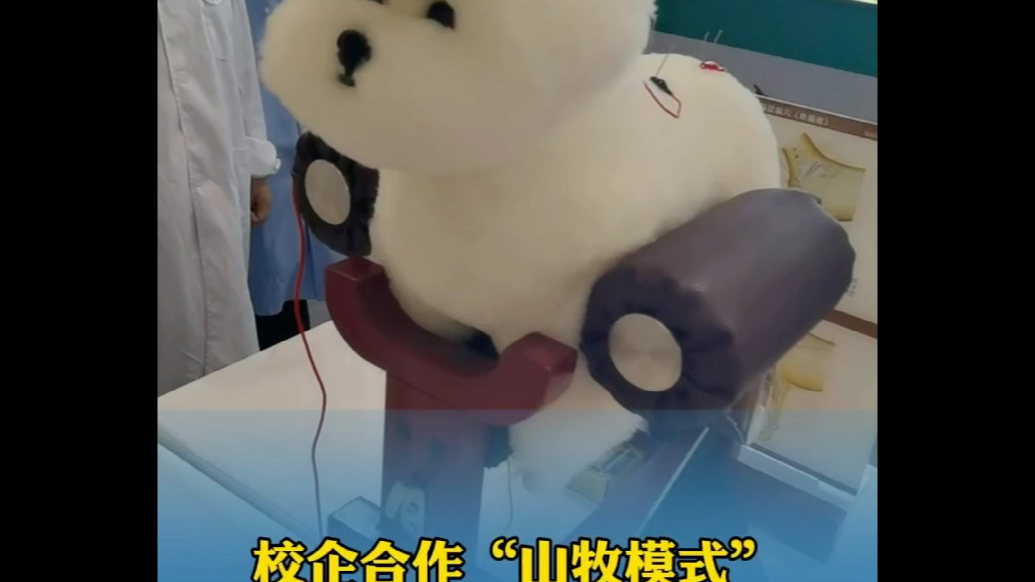 果然视频|校企合作“山牧模式”走进潍坊职教周
