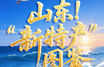 专题｜走在前 挑大梁