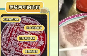 别让冰箱成“细菌培养皿”！这份使用指南请收好