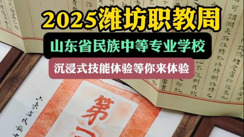 果然视频|山东省民族中专：职教周提供茶艺表演等沉浸式技能体验