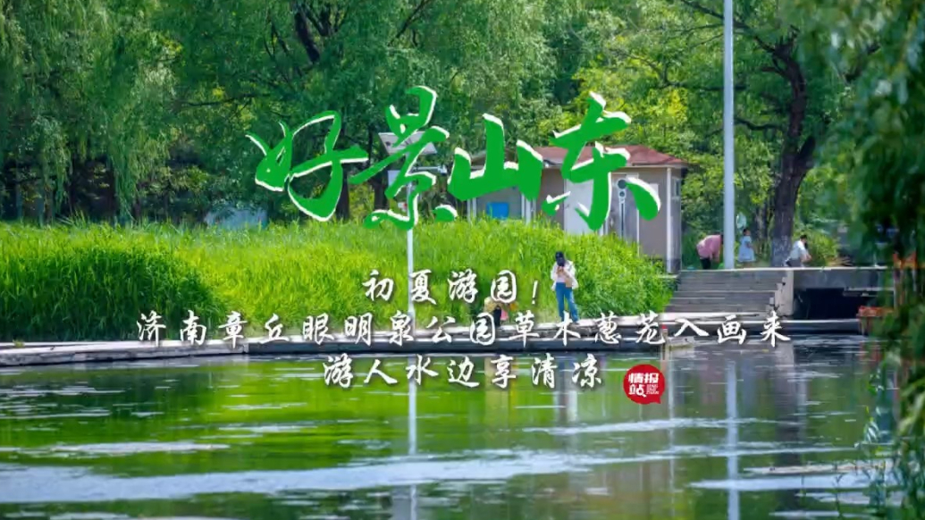 果然视频·好景山东|初夏游园！济南眼明泉公园草木葱茏入画来