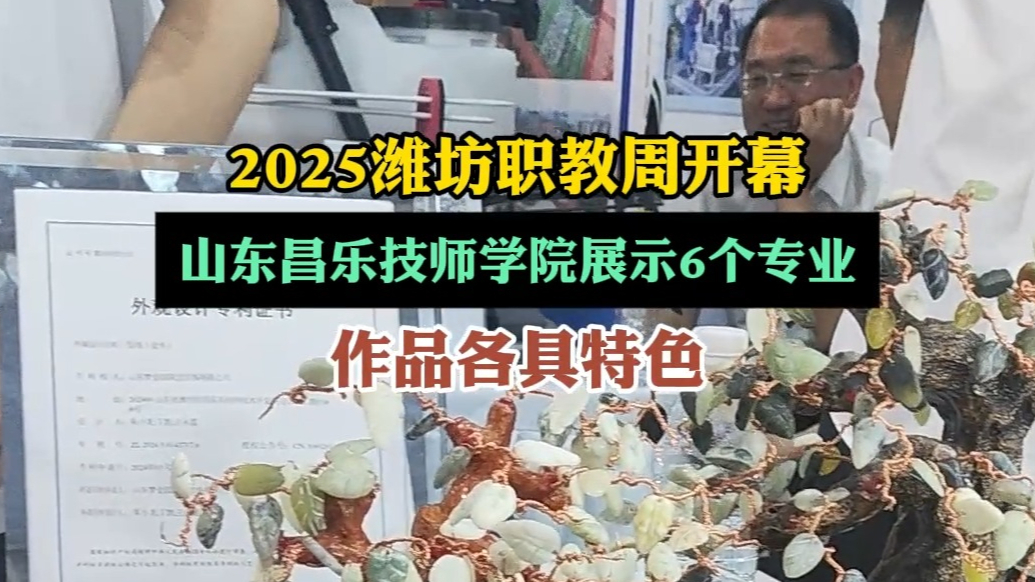 果然视频|山东昌乐技师学院6个专业参与职教周，作品各具特色
