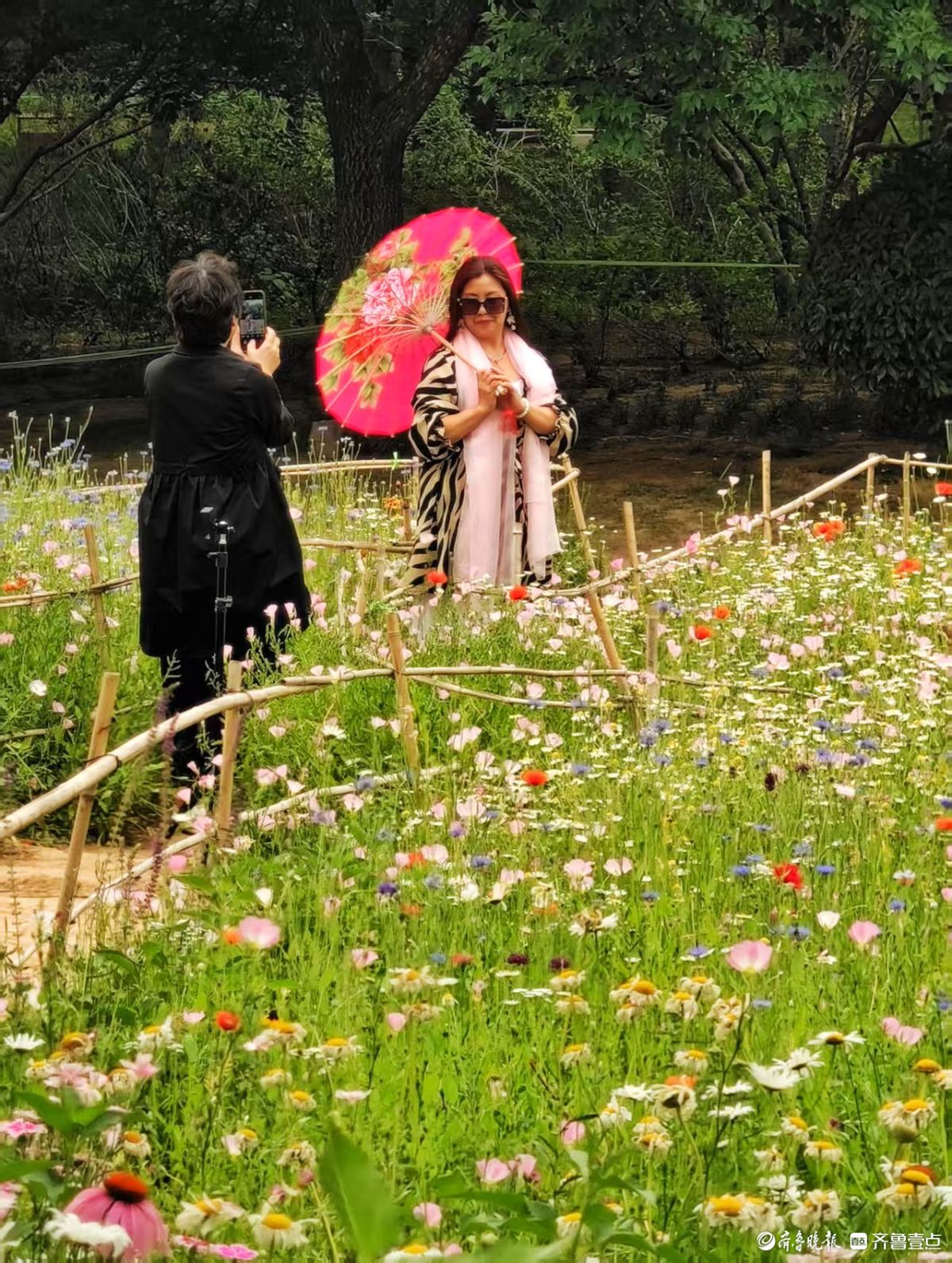 踏入森林公园，花海如梦如幻