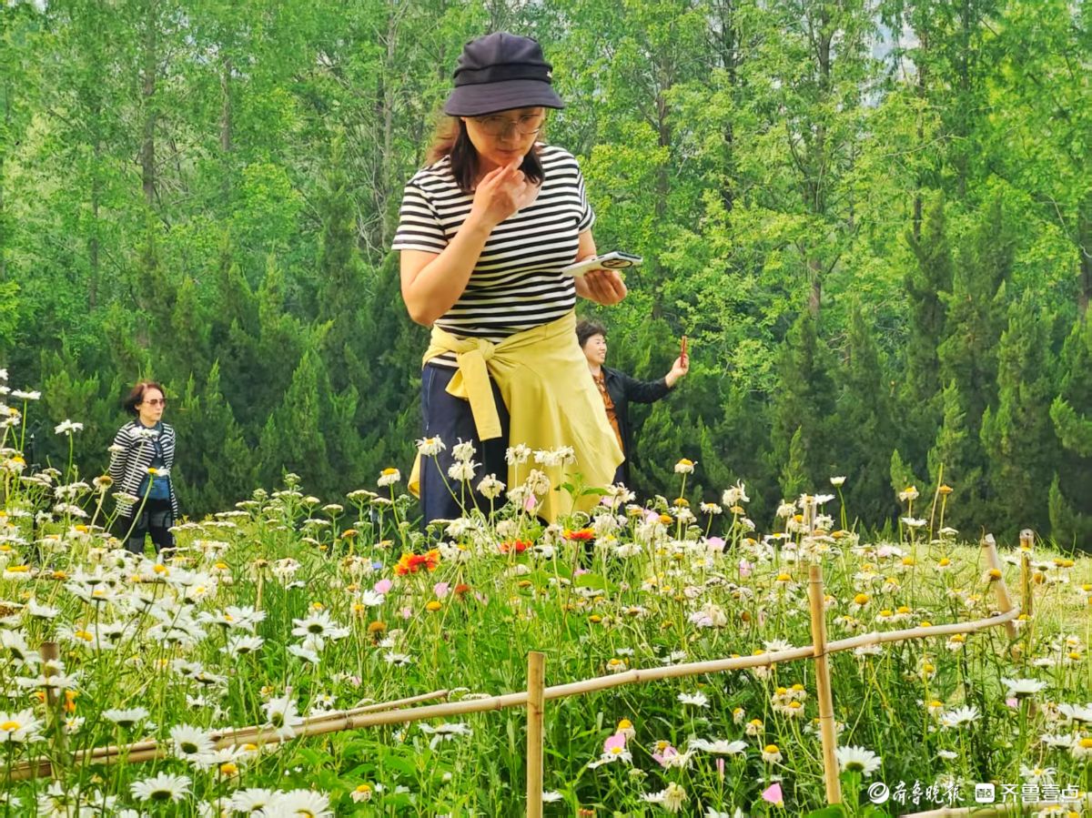踏入森林公园，花海如梦如幻