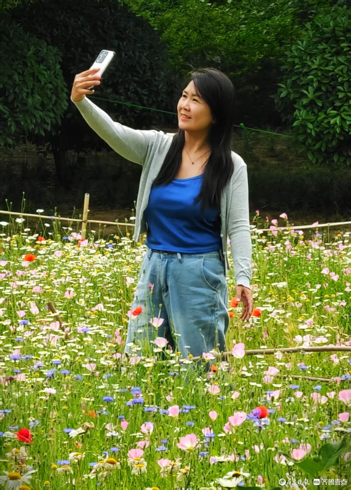 踏入森林公园，花海如梦如幻