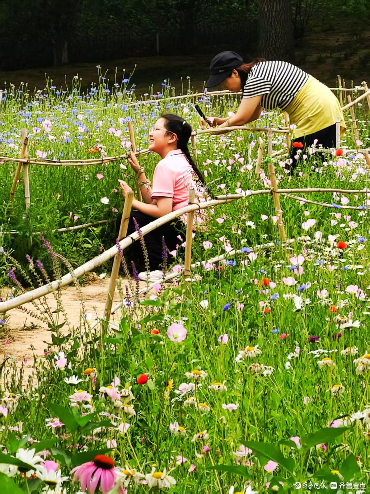 踏入森林公园，花海如梦如幻