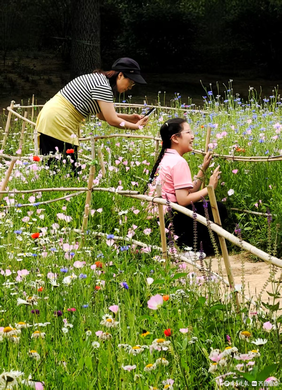 踏入森林公园，花海如梦如幻