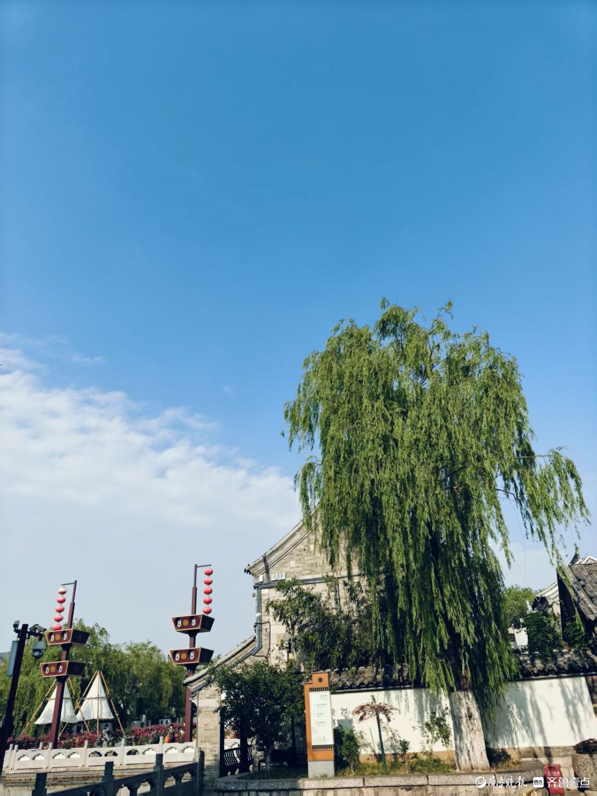 初夏百花洲好美啊