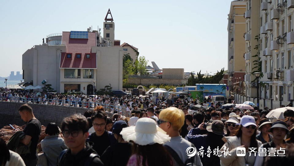琴岛观澜丨山海之城的长红之道