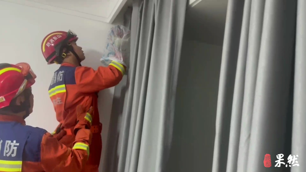 果然视频|蝙蝠趁夜闯入居民家，消防员到场“请”出来