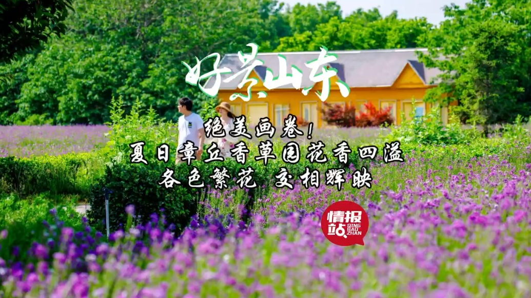 果然视频·好景山东|济南章丘香草园花香四溢，各色繁花交相辉映