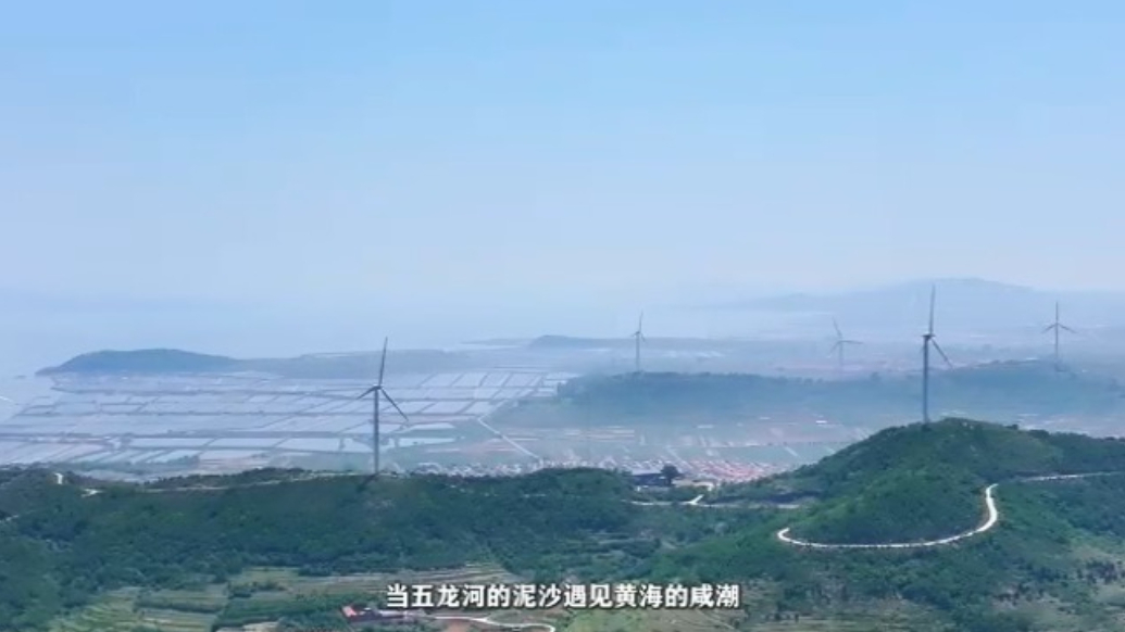 专题丨遇见·香岛湾
