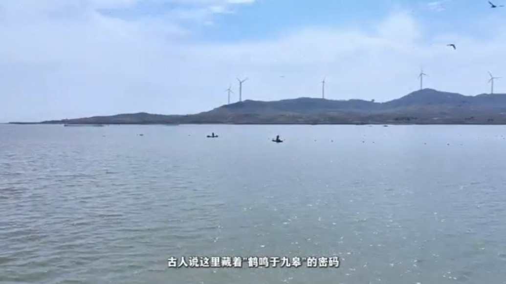 专题丨遇见·香岛湾