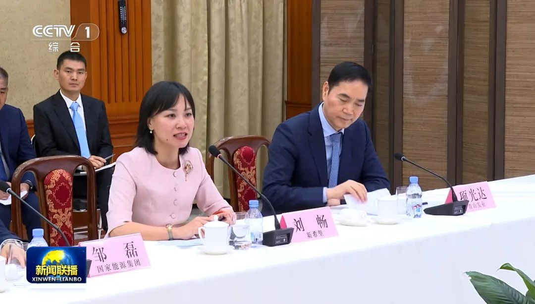 新希望刘畅参加印尼中资企业座谈会并发言