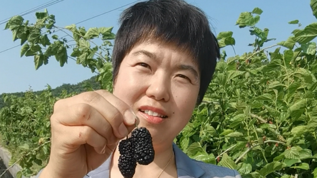 青岛故事丨逐浪观澜 读懂青岛 