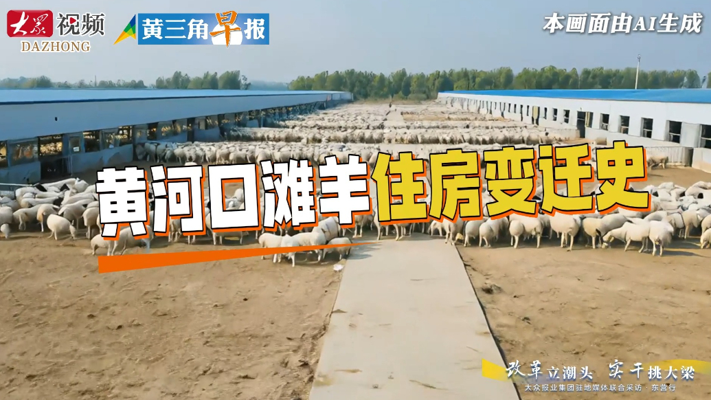 AI视频|黄河口滩羊住房变迁史