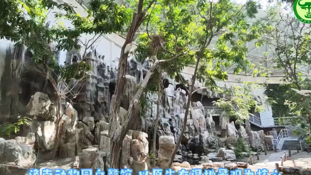 果然视频 | 动物视界（408）济南动物园白鹭馆的生态秘境