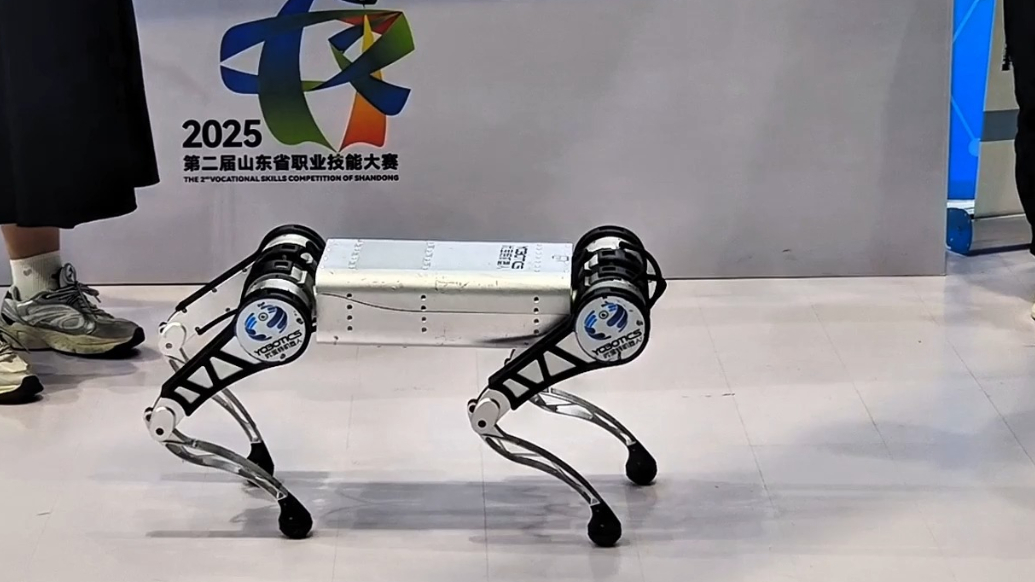 视频丨打卡山东省职业技能大赛，来济南展区共赴科技与匠心的邂逅