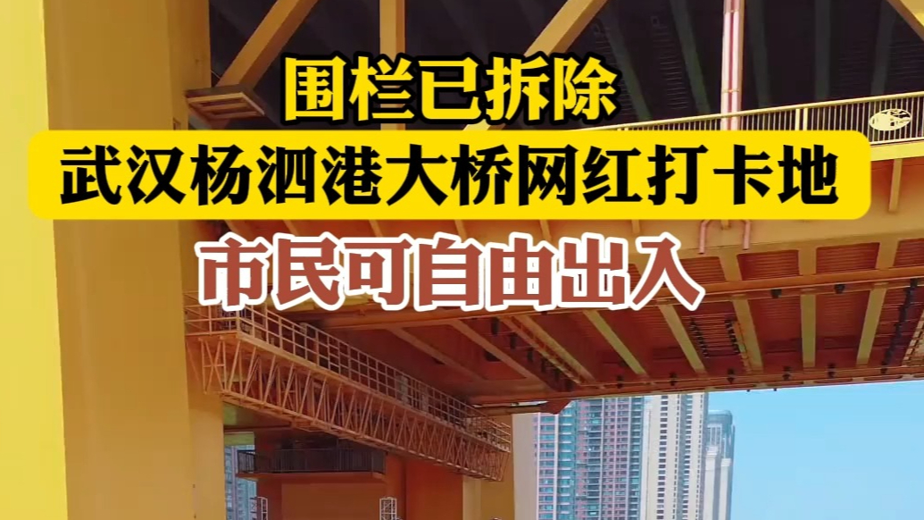 果然视频|围挡已拆，武汉杨泗港大桥网红打卡地市民可自由出入