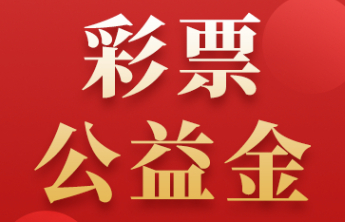 财政部下达2025中央专项彩票公益金支持地方公益事业资金预算