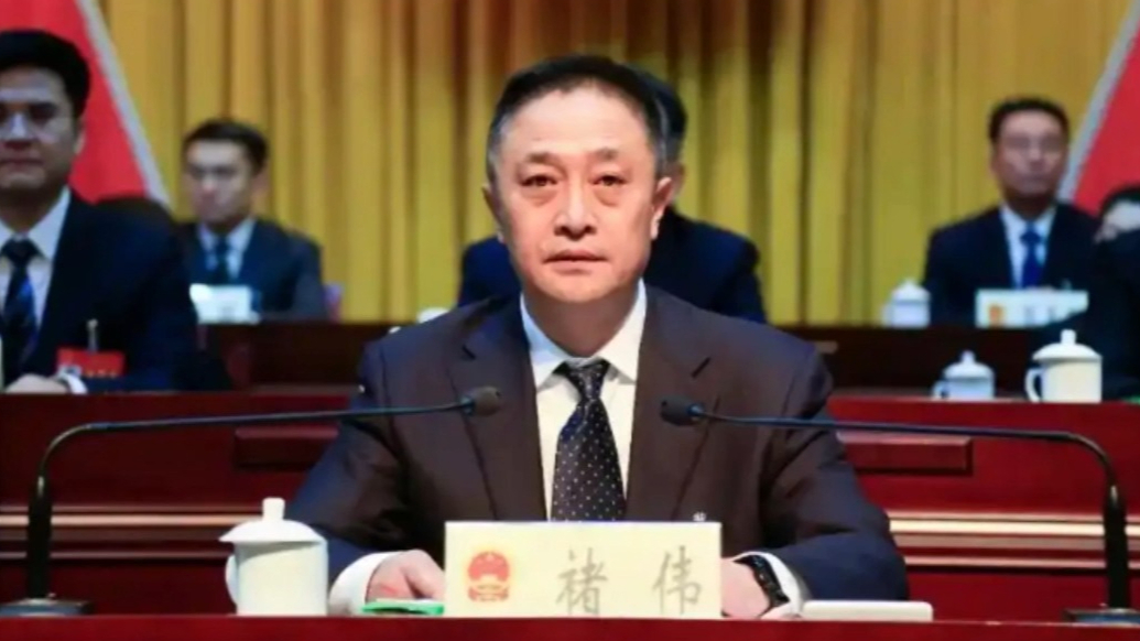 观政视频|褚伟任宁夏回族自治区人民政府副主席