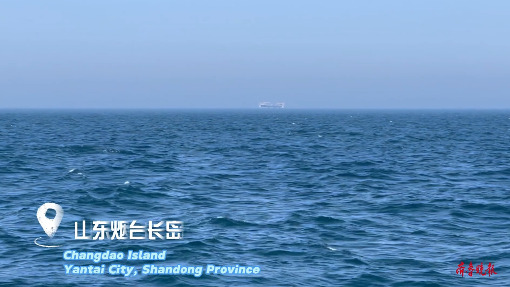 Ramble Shandong漫步山东|一条深海三文鱼对烟台的“告白”