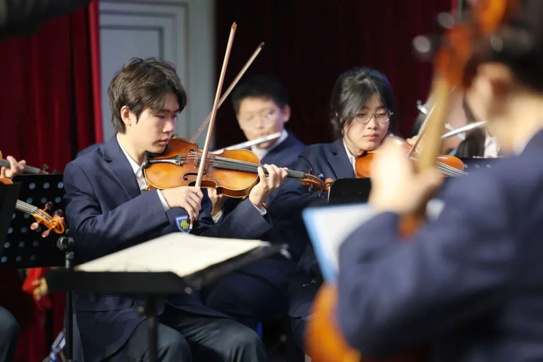 山东师大附属中学及幸福柳分校2025年艺体特长生招生简章发布