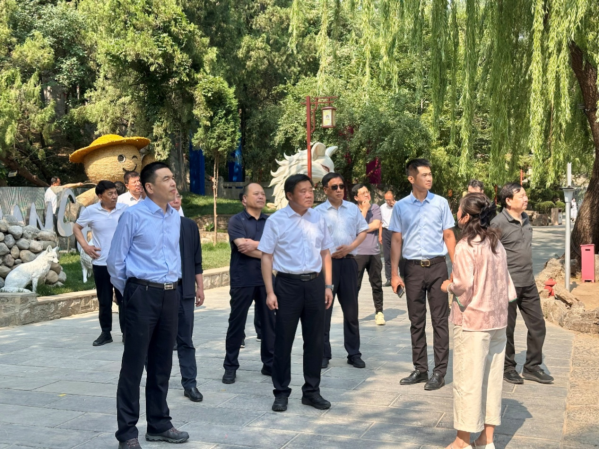 壹点图集｜调研+座谈，淄博举办金融赋能文旅行长行活动